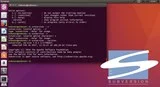 Configurare Subversion (SVN) Repositorii pe Debian / Ubuntu