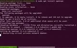 Instalare VPP PPP pe Debian / Ubuntu