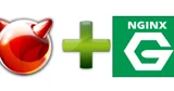 Instalarea Nginx pe FreeBSD