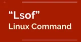 Introducere în Lsof