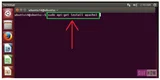 Виртуальные хосты Apache на Ubuntu 14.04 LTS