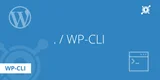 Utilizarea WP-CLI pentru a gestiona WordPress pe Ubuntu