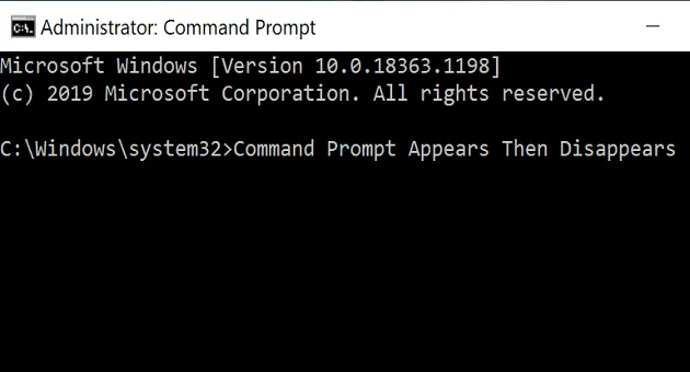 Pojawia się wiersz polecenia systemu Windows 10, a następnie znika