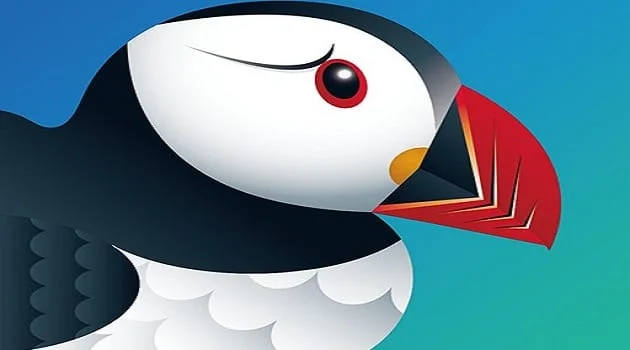 Napraw przeglądarkę Puffin, która nie łączy się z siecią