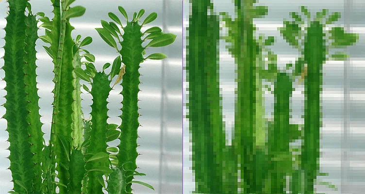 Como compactar imagens grandes facilmente