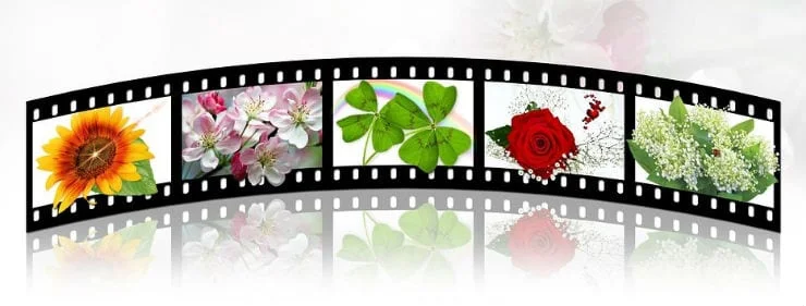 如何下載和使用 Windows Movie Maker