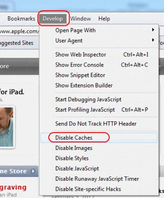 Apple Safari：完全禁用緩存