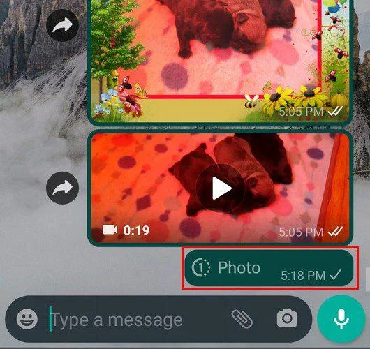WhatsApp: So senden Sie ein Bild, das nur einmal angezeigt wird