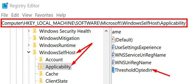 Cách khắc phục lỗi cập nhật Windows 10 0x80244018