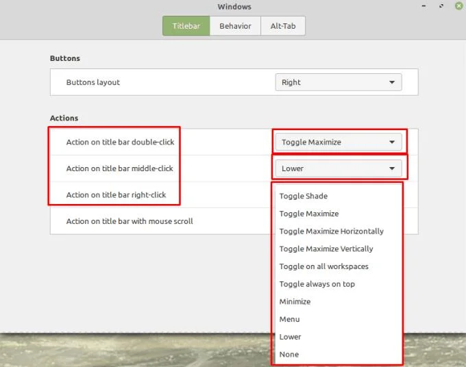 Linux Mint: de titelbalk van Windows configureren