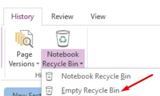 Código de error de OneNote 0xE00001AE - Fijar