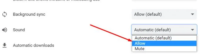 Fix Zoom Audio werkt niet in browser