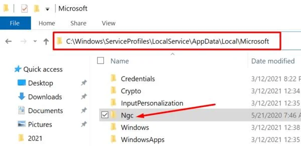 ¿Qué es la carpeta Ngc en Windows 10?