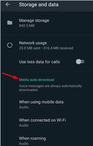 送信者が知らないうちにWhatsAppオーディオを聞く