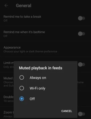 Cách tắt “Phát lại bị tắt tiếng trong nguồn cấp dữ liệu” trong YouTube trên Android