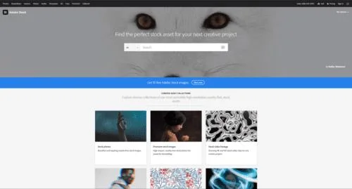5 najlepszych stron internetowych do sprzedaży zdjęć stockowych