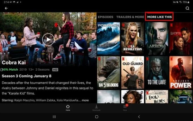 Netflix: porady i wskazówki, których możesz przegapić