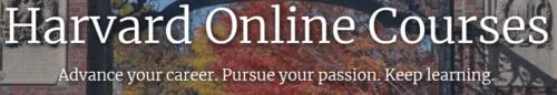 Top 5 online cursussen voor technische vaardigheden