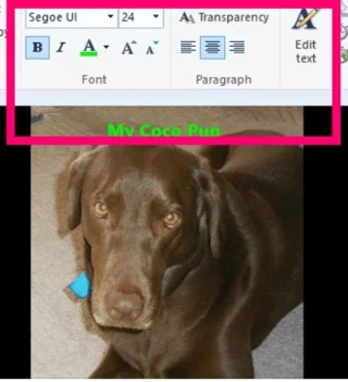 如何下載和使用 Windows Movie Maker