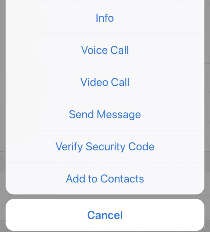 WhatsApp：如何查找和添加人員