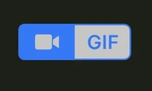 如何在 WhatsApp 上發送 GIF