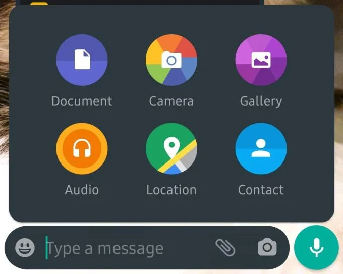 WhatsApp: compartilhando sua localização
