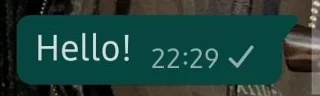WhatsApp에서 확인 표시는 무엇을 의미합니까?