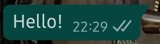 WhatsApp에서 확인 표시는 무엇을 의미합니까?