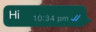 WhatsApp에서 확인 표시는 무엇을 의미합니까?
