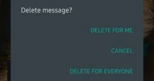 WhatsApp:如何刪除消息 WhatsApp:如何刪除消息