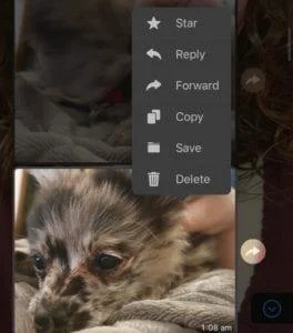 WhatsApp：如何刪除消息