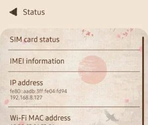 Galaxy S10e: MAC-adres zoeken