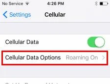 เปิดหรือปิด Data Roaming บน iPhone X หรือ 8
