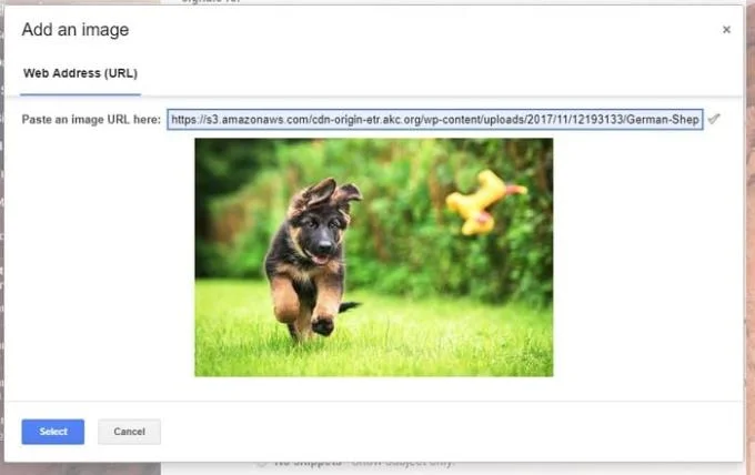 Coller une URL d'image