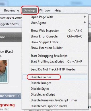 Apple Safari：完全禁用緩存