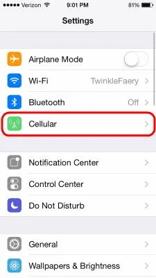 เปิดหรือปิด Data Roaming บน iPhone X หรือ 8