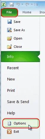 在 Excel 2016 中啟用斜線 (/)