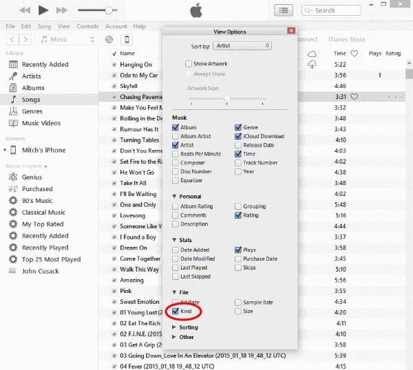 iTunes: cómo comprobar qué canciones están protegidas por DRM