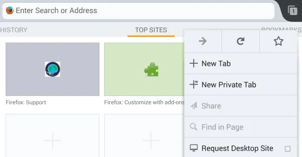 Alternatieven voor Kindle Fire Silk-browser