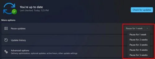 Cómo detener las actualizaciones de Windows 11