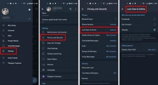 Telegram: Cum să-ți ascunzi ultima oară și starea online