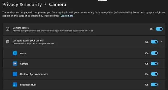 Windows 11: Cum să personalizați camera web
