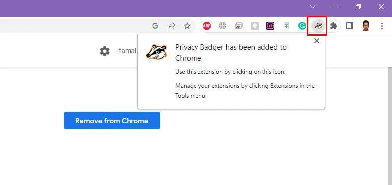 Hoe de Chrome-extensie Privacy Badger te gebruiken om webtrackers te stoppen