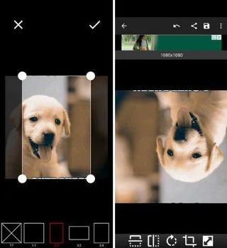 5 aplicații Android gratuite pentru a redimensiona imaginile