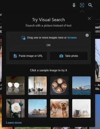 Microsoft Edge: Cum să activați/dezactivați căutarea vizuală