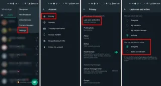 Cum să-ți ascunzi starea online pe WhatsApp