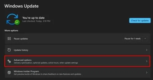 Cómo detener las actualizaciones de Windows 11
