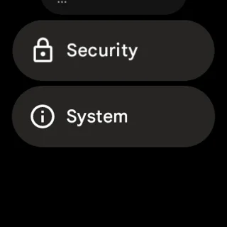 Cum se actualizează Google Pixel Watch