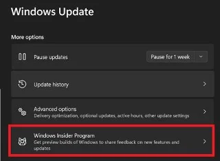Windows 11: Evaluare Copiați filigran după actualizare