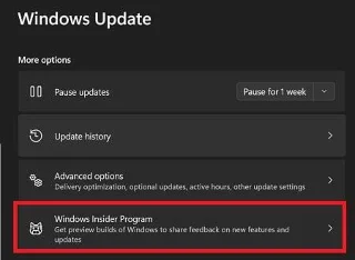 Windows 11: Evaluare Copiați filigran după actualizare